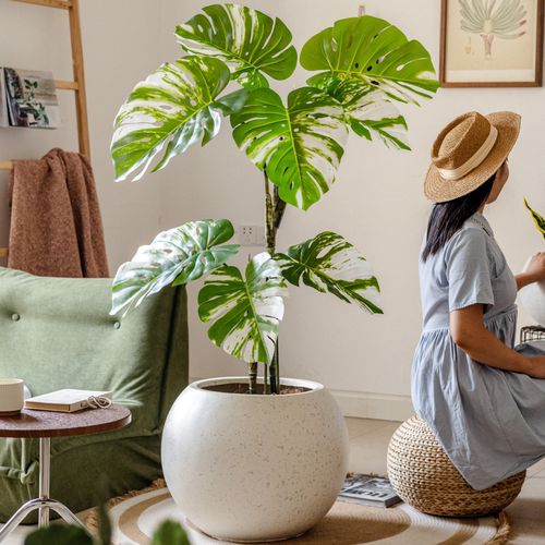 绿植盆栽落地花盆大号北欧简约