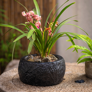 复古黑色花盆摆件客厅电视柜玄关装饰茶室造景绿植盆栽小花盆圆形