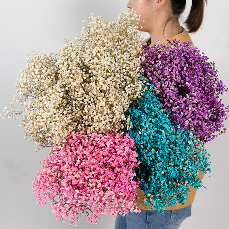 云南永生花满天星百万星干花花束家居装饰插花星梦
