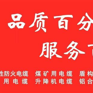 2.5 6平方YZ 华旗国标橡胶移动软电缆电线2芯3芯4芯1.5 防水