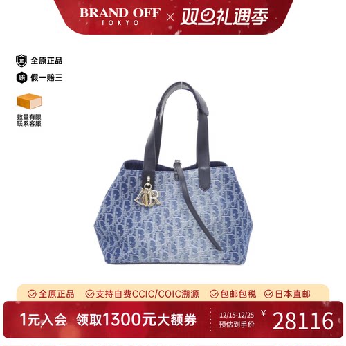 中古DIOR迪奥女包A级95新OBLIQUE Toujours Medium手提包BRANDOFF