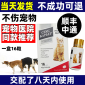 狗事后紧急避宠物母猫咪土狗避流浪猫狗吃急防母狗事紧狗狗交配孕