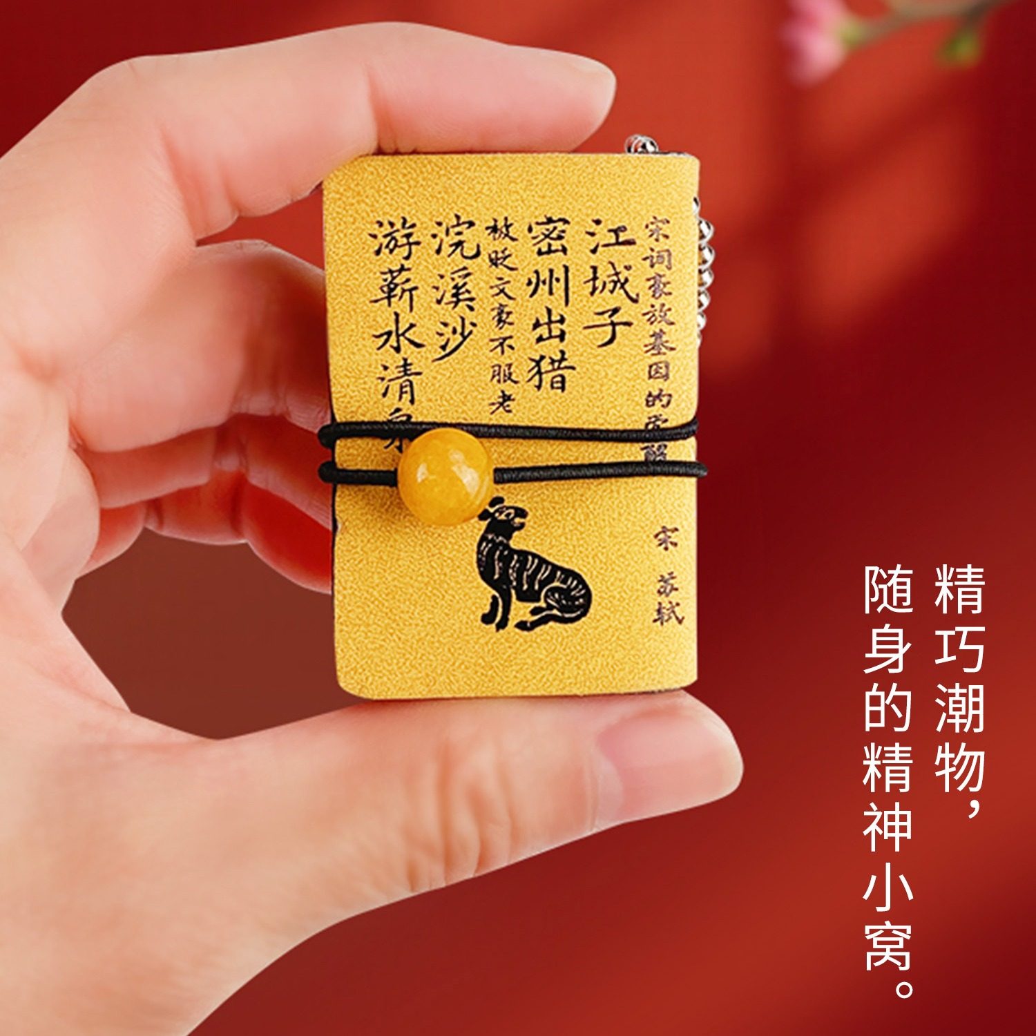 心经完整版康熙小皮书口袋书