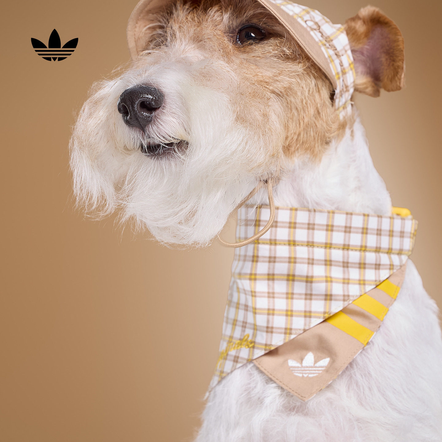 宠物格子围巾围兜口水巾三角巾狗狗猫咪新款adidas阿迪达斯三叶草