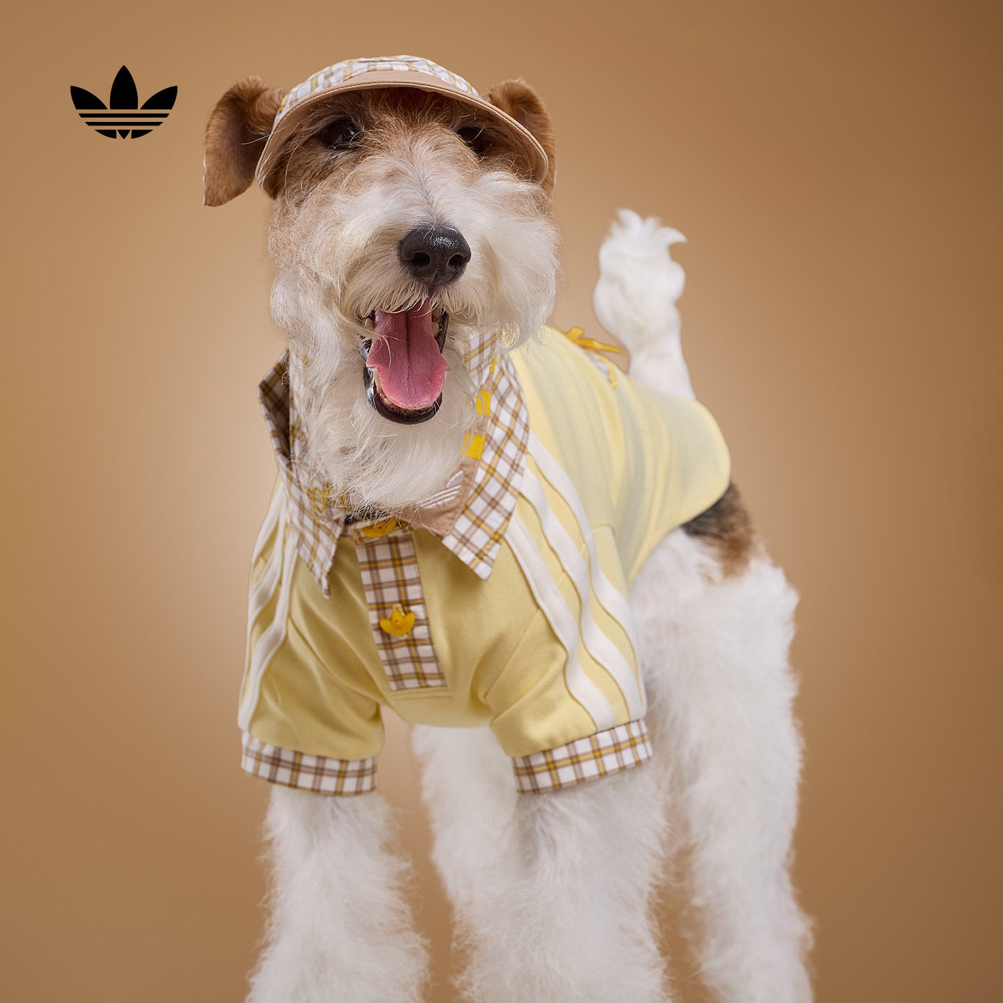 宠物衣服经典格子短袖POLO衫狗狗猫咪新款adidas阿迪达斯三叶草