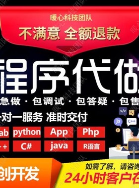 计算机python代编程java代做c++程序代写c#系统设计C语言代码编写