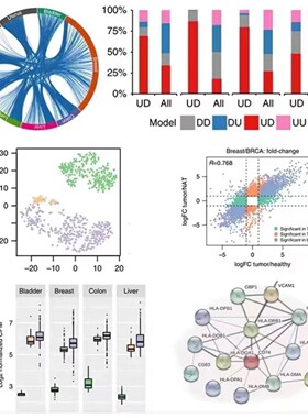 R语言代码Rstudio绘图SCI科研生信医学桑基热图数据分析作图教程
