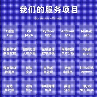 Python代编程深度学习java****代做matlab代码 web帮做仿真算法c