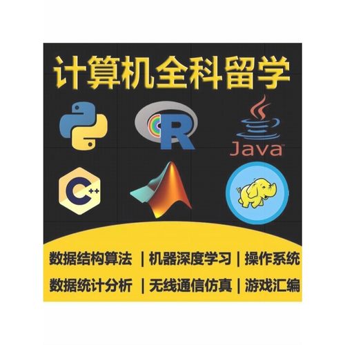 python辅导机器学习/C语言作业/C++汇编/spark算法/R语言java编程