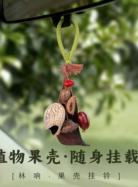 森系印尼天然果壳风栖挂件果壳编