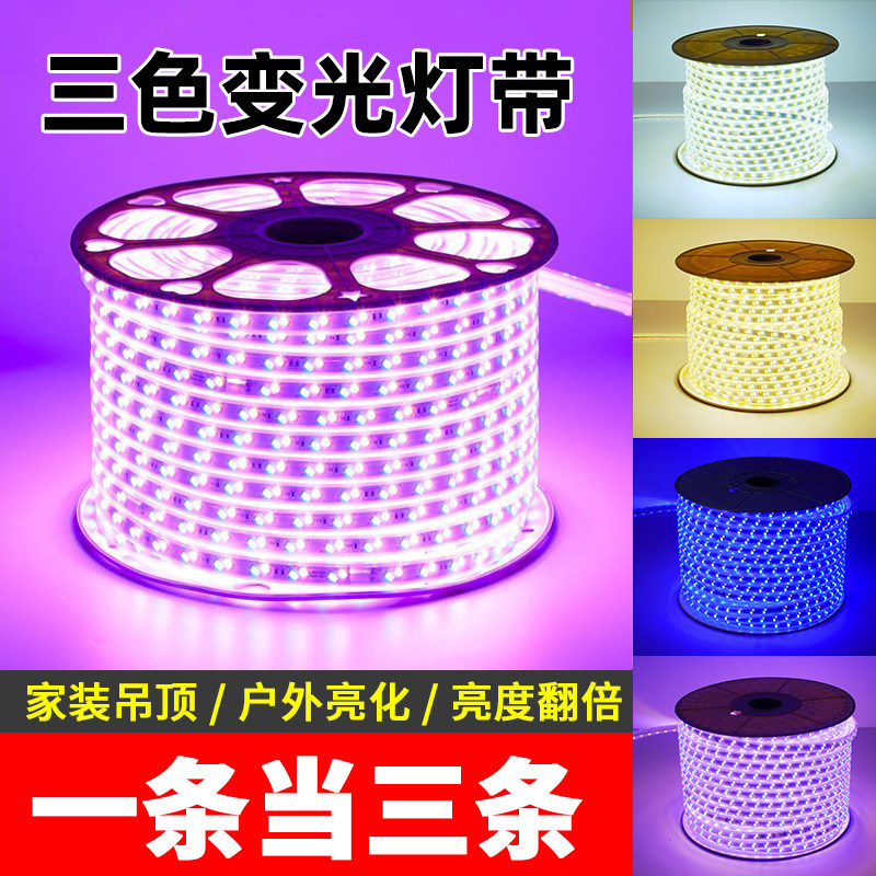 220V三色超亮户外防水LED灯带