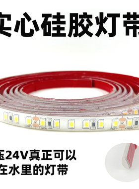 24Vled灯带低压户外防水防晒实心硅胶超亮泳池水下泡水水底水池