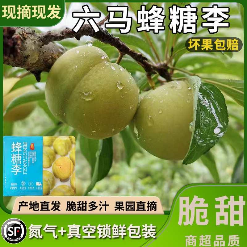 顺丰冷链|氮气包装|现货现发