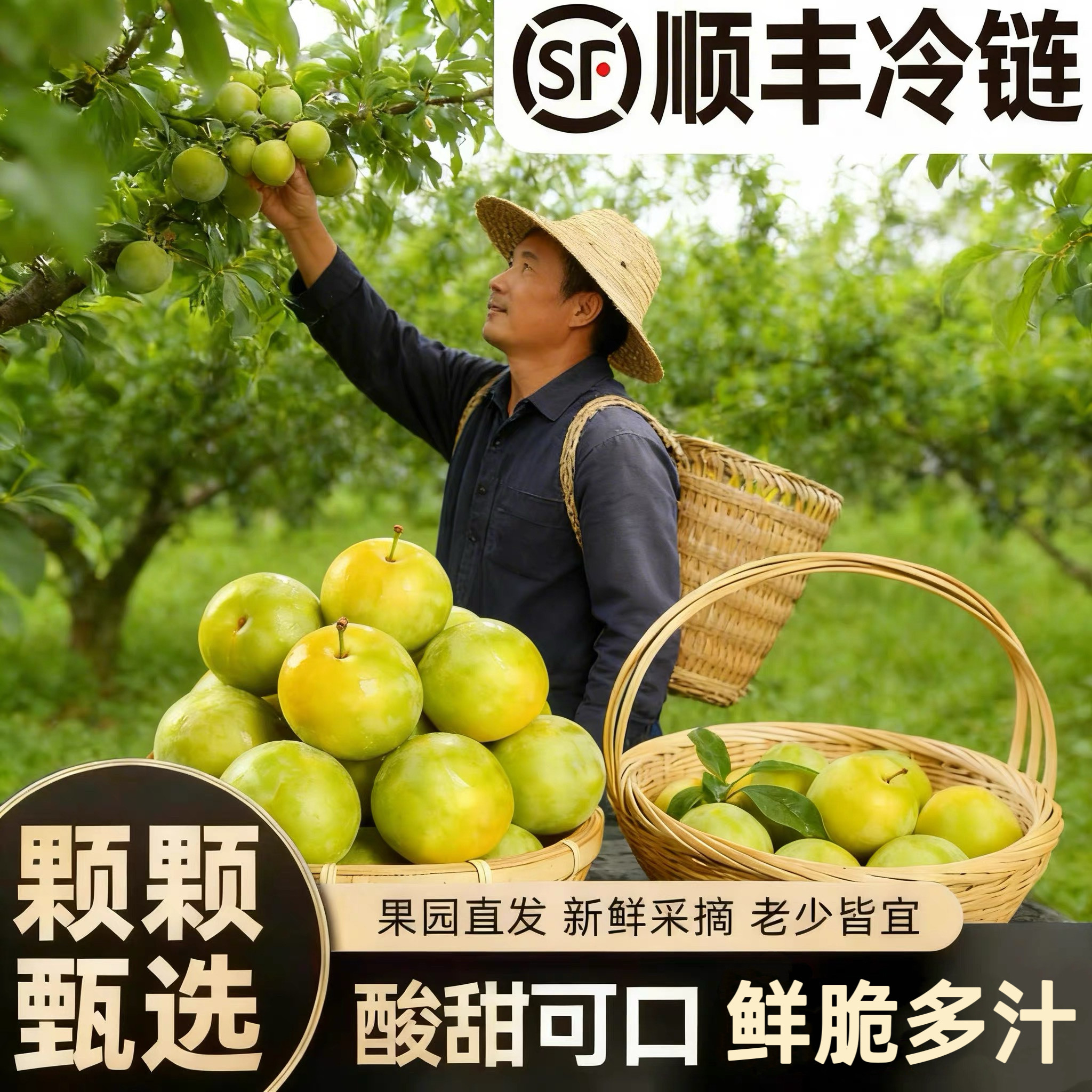 顺丰京东冷链发货四月李清脆多汁酸甜贵州农家自种新鲜采摘水果