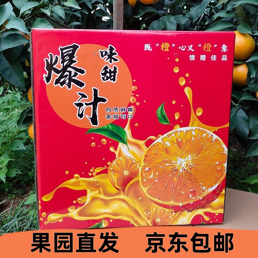 顺丰包邮四川眉山爱媛38果冻橙