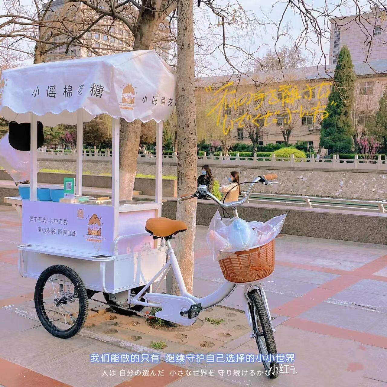 新款中老年脚踏三轮车老人轻便小型代步三轮自行车脚蹬载包邮