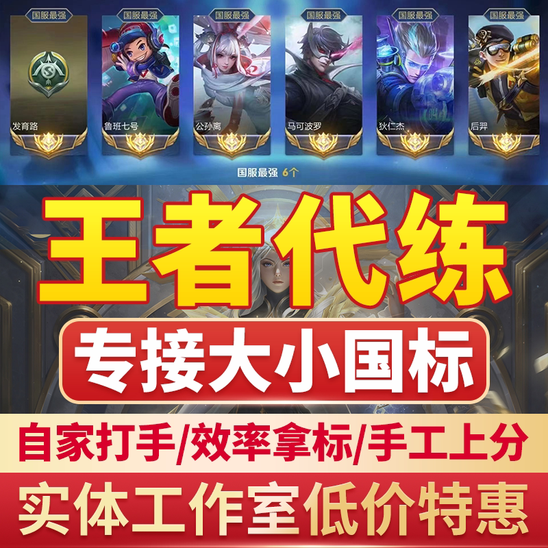 王者送荣耀代练打玩国服大小国标省标金标巅峰赛排位战力上分魔方_虎窝淘