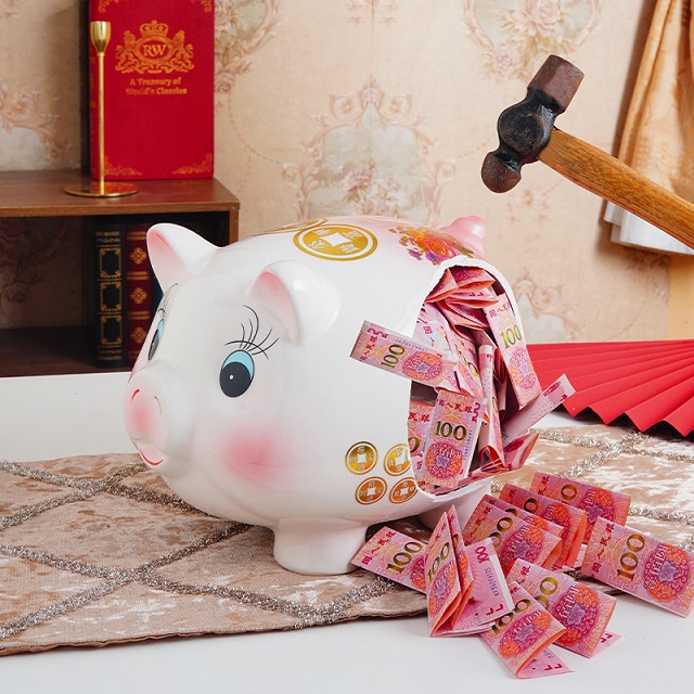 2024小猪岚维只进不出