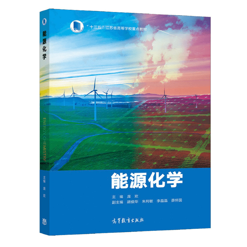 正版 能源化学 主编 庞欢 副主编 胡俊华 朱利敏 李晶晶 薛怀国