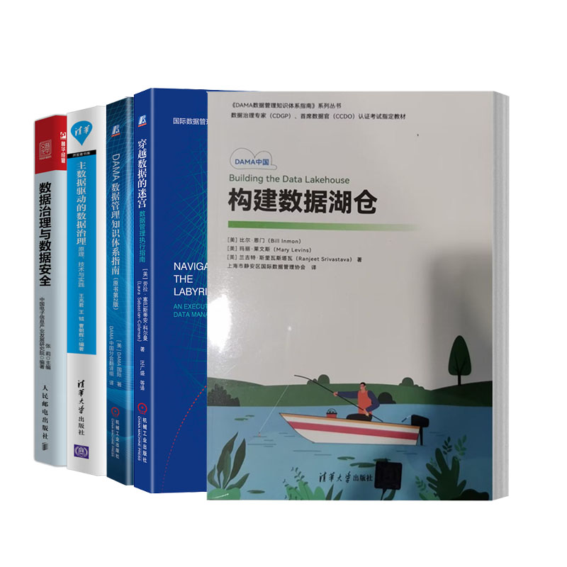 构建数据湖仓（美）比尔·恩门+DAMA数据管理知识体系指南+穿越数据的迷宫+主数据驱动的数据治理实践+数据治理与数据书籍