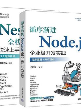 【全2册】循序渐进Node.js企业级开发实践 柳伟卫+NestJS全栈开发解析 快速上手与实践 温健民