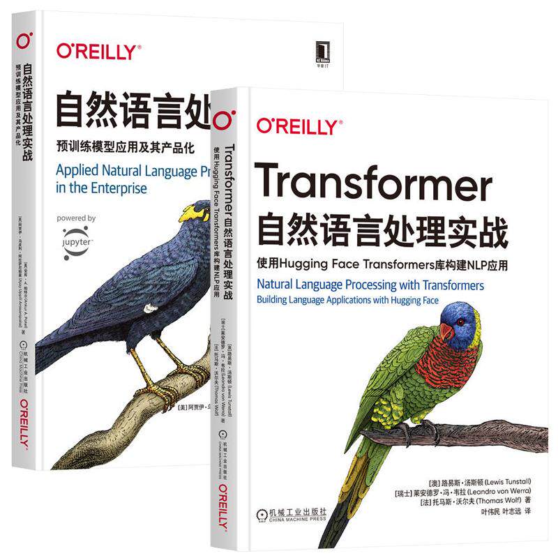 Transformer自然语言处理实战 使用Hugging Face Transformers库构建NLP应用+自然语言处理实战 预训练模型应用及其产品化 2册书