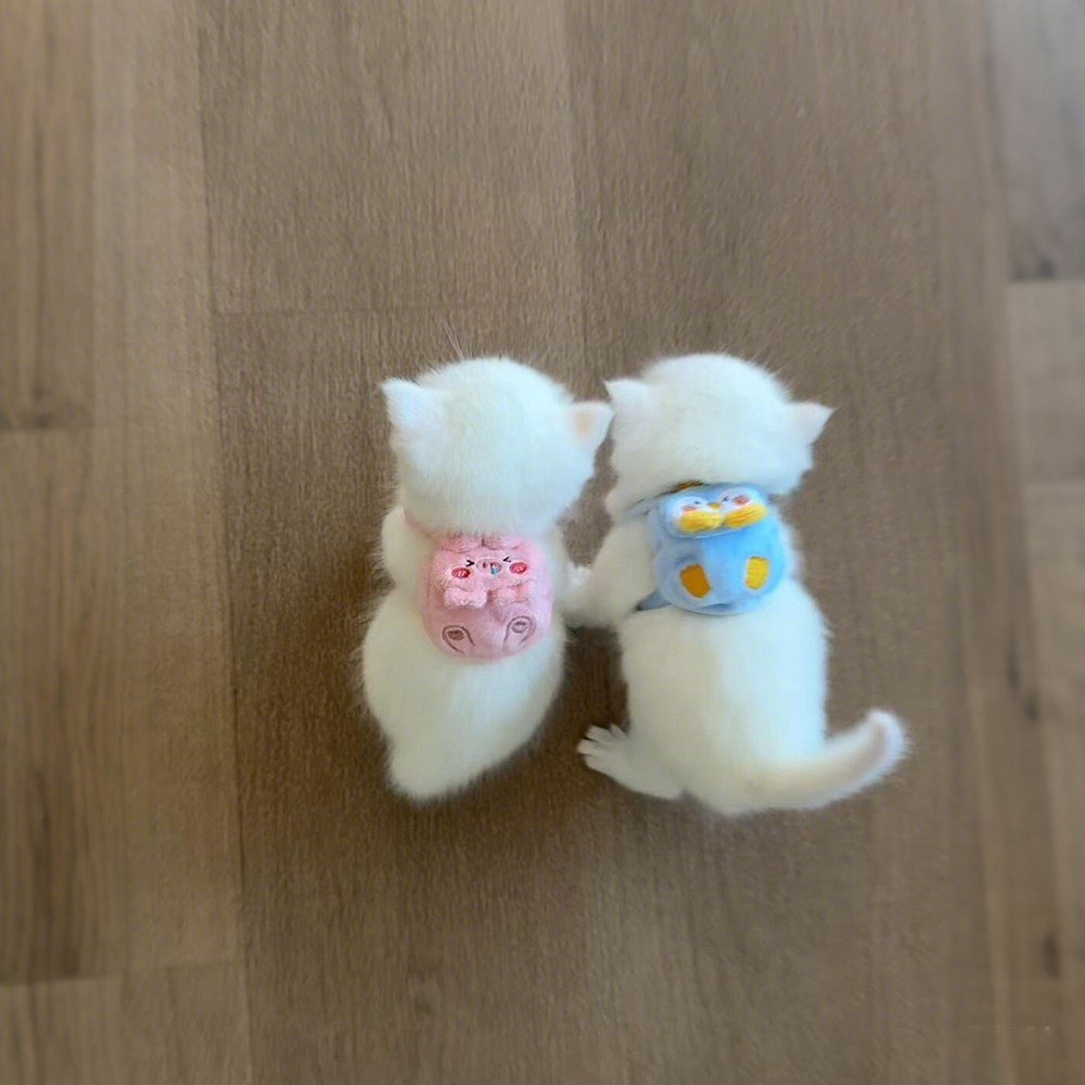 宠物猫咪自背小书包装可爱小背包