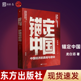 锚定中国 龙白滔 著 看清中国经济现状与前景 消费信心不足宏观经济 基于事实和数据的宏观分析读懂经济基本面 发展机遇书籍