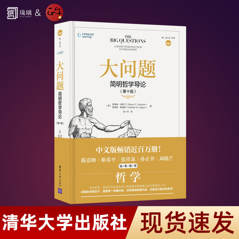 大问题 简明哲学导论 第10版 罗伯特所罗门 有趣又好读哈佛耶鲁清华北大等知名高校的哲学教材开明心智的普及读本 正版书籍云仓