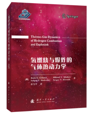 氢燃烧与爆炸的气体热动力学(精) (俄罗斯)Boris E.Gelfand//Mikhail V.Silnikov//Sergey P.Medvedev//Sergey V.Khomik