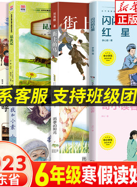 2026六年级课外书推荐闪闪的红星