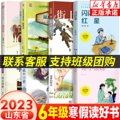 2025六年级课外书推荐闪闪的红星
