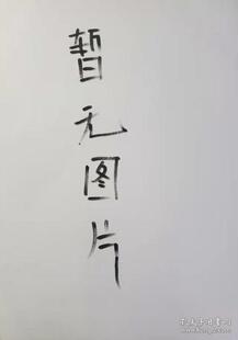 应似飞鸿踏雪泥 郭虹著 9787540998004 四川民族出版社