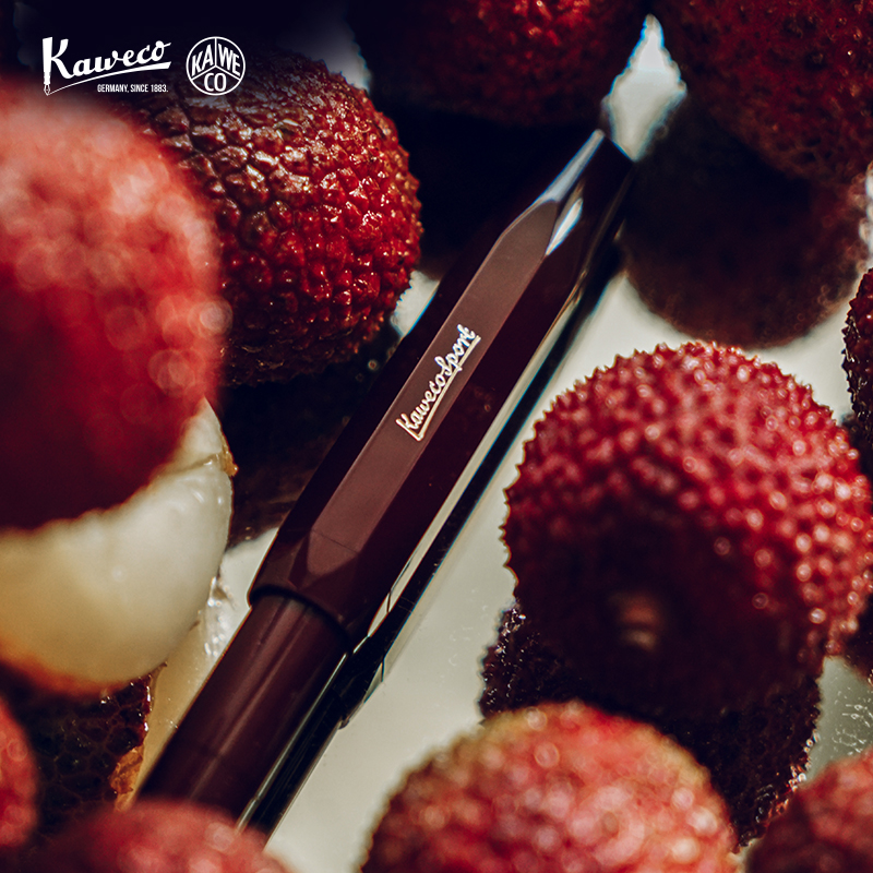 KAWECO非碳素墨水书写练字德国