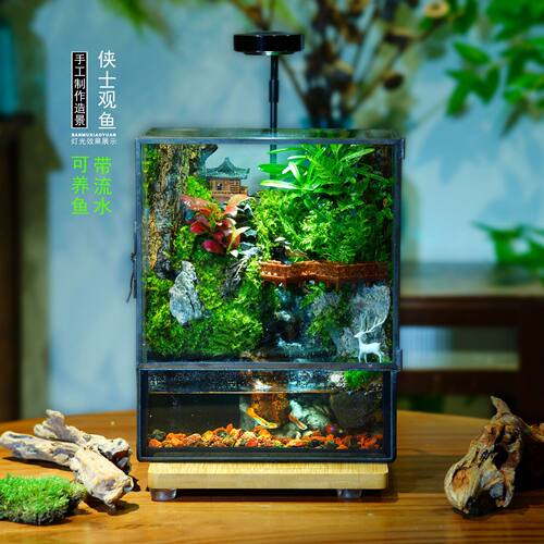 流水系统雨林缸造景苔藓