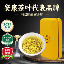 特一级黄金芽2025新茶明前手工茶叶官方旗舰店正品安康富硒茶产区