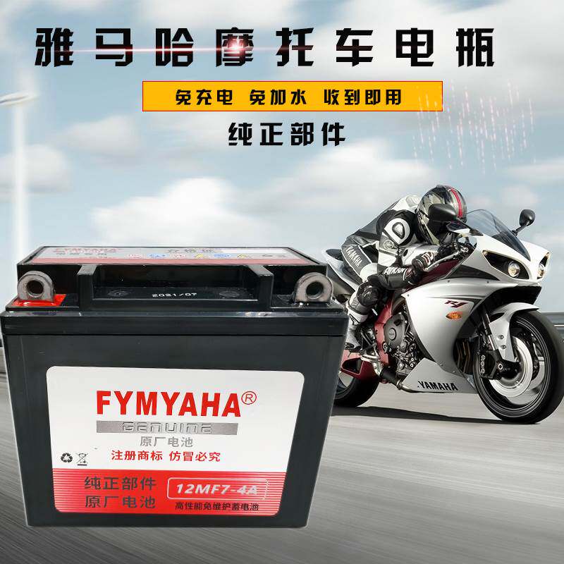 雅马哈新福禧巧格i赛鹰125丽凌鹰100摩托车电瓶电池mtx5l-bs