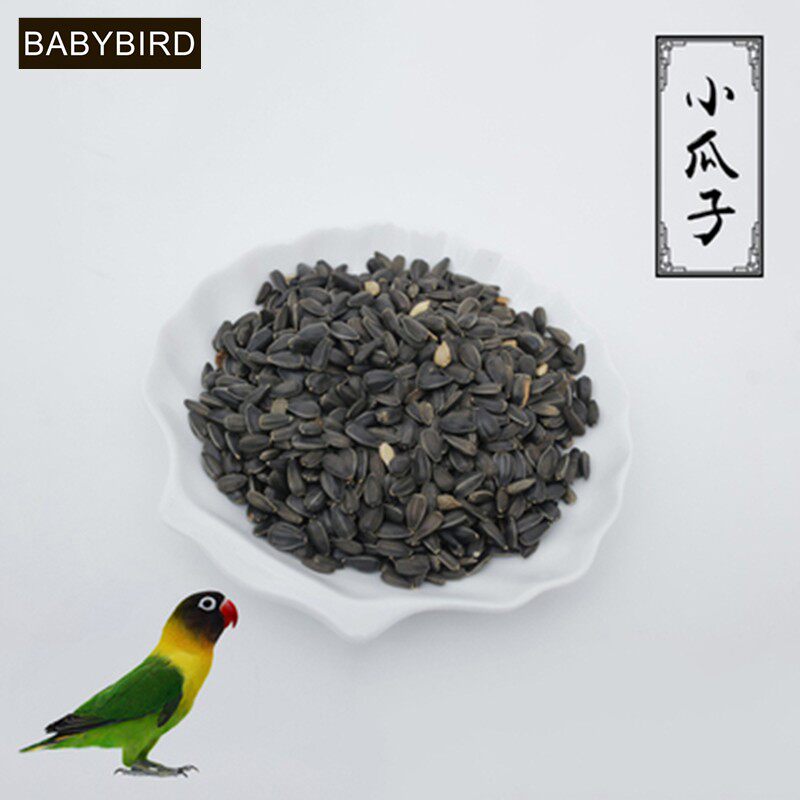 黑珍珠小瓜子油葵籽玄风鸟食仓鼠零食鸟粮5斤包邮