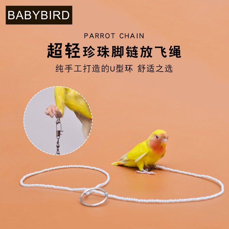 babybird脚环脚链遛鸟飞行绳