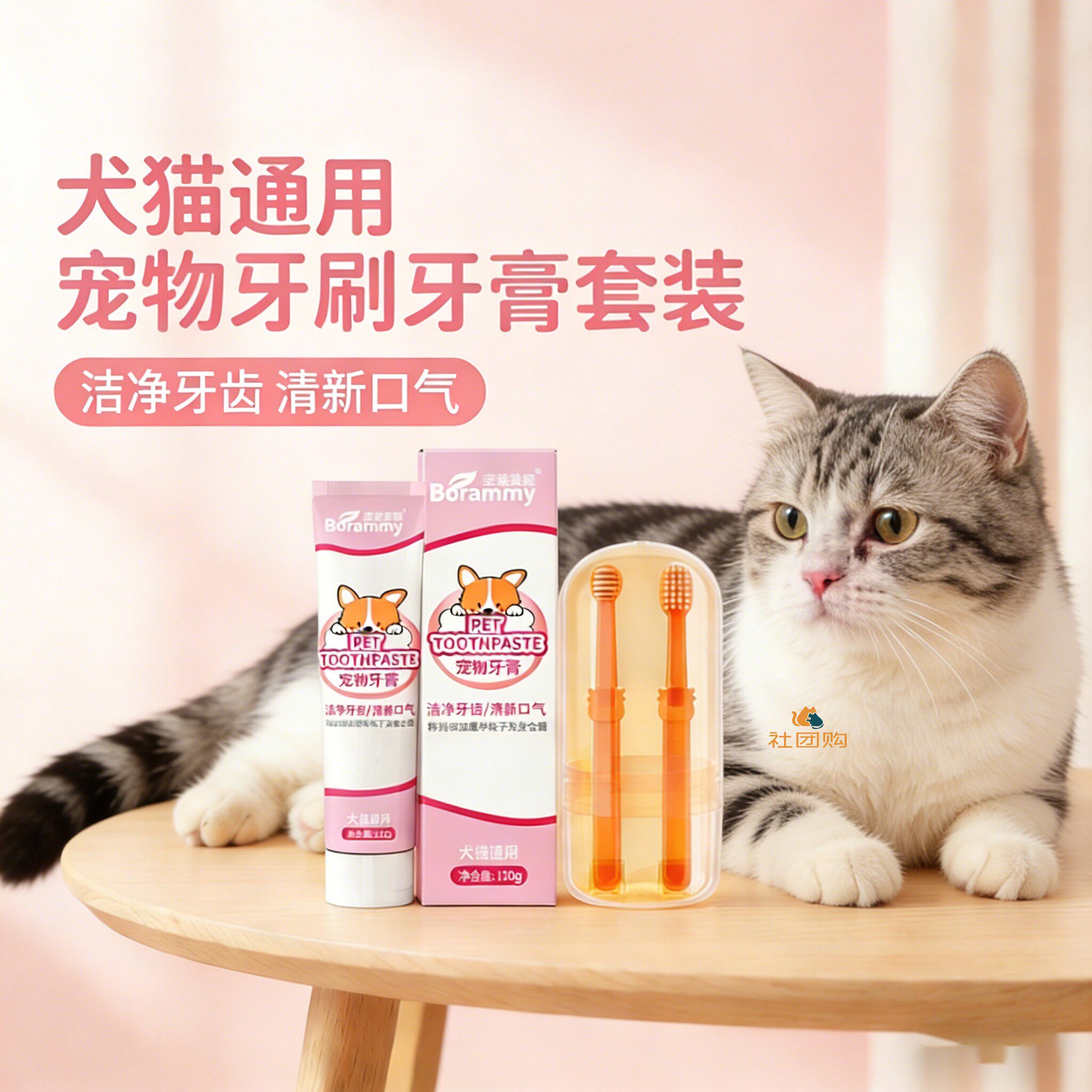 母猫咪专用牙刷牙膏宠物刷牙神器可食用口腔指套洁牙工具清洁
