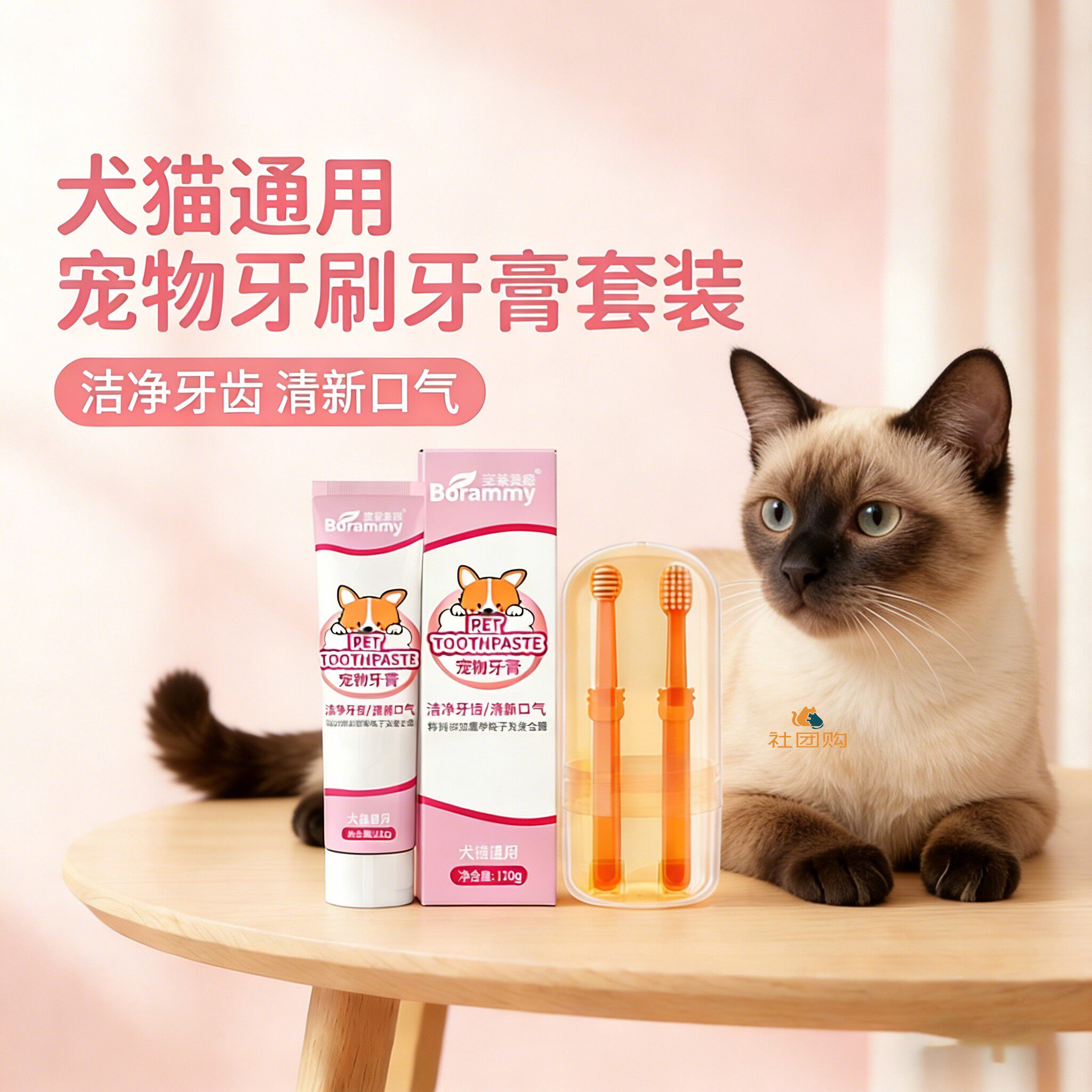 暹罗猫咪专用牙刷牙膏宠物刷牙神器清洁指套口腔洁牙工具可食用