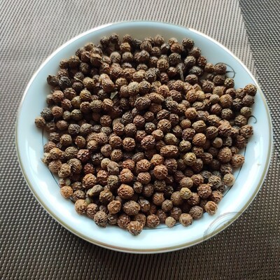 油桐籽 梧桐籽h 瓢儿果 梧桐子 桐麻豌桐油树子500克 包邮