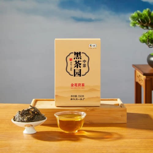 湖南安化黑茶中茶牌金花茯砖