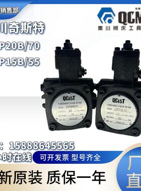 新款VVP20B/55 VVP30B/55 VVP40B/70自动变量包邮