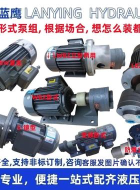 新款CBW6油泵电机LWBZ-LBZ-WBZ4/10/16/20/25/32/40/50/63/80包邮