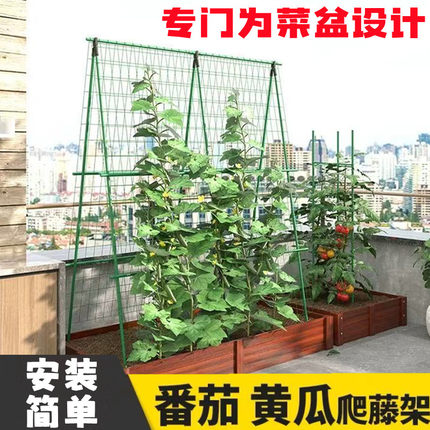四季豆黄瓜爬藤架豆角攀爬架番茄支撑杆菜盆种菜架植物架花架杆子