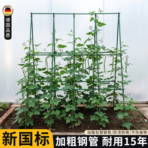 种菜爬藤架黄瓜支撑杆子豆角架杆蔬菜丝瓜四季豆搭架专用包塑钢管