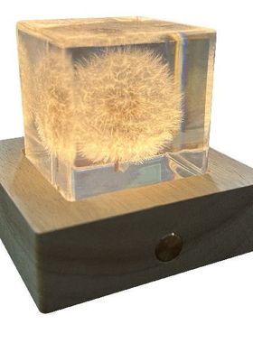 昆虫世界真实蒲公英标本摆件学校教学启蒙儿童科普网红盲盒跨境