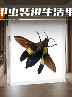 小动物儿童虫子亚克力真实树脂