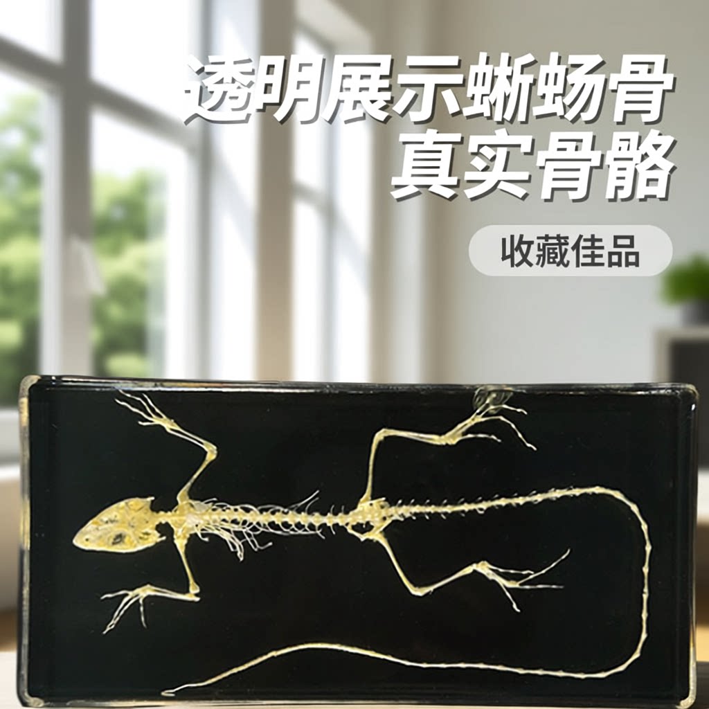 礼品酒柜抖音桌面可爱真实标本
